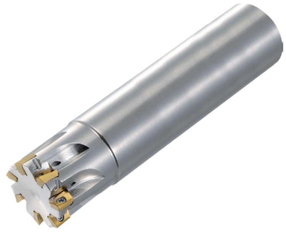 MECX08-S10-07-1T